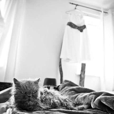 1950’s safari wedding -mattparry photography-2