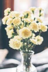 Andrea & Paulo’s Belfast Wedding