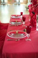 AngryBirdsWeddingInspiration_LiveViewStudios211