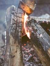 Big_Sur_Wedding_Elisabeth_Millay_0002