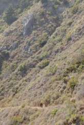 Big_Sur_Wedding_Elisabeth_Millay_0025