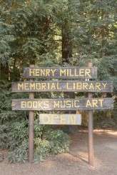 Big_Sur_Wedding_Elisabeth_Millay_0049