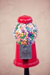 Circus_Sideshow_Wedding_Tangerine_Tree_Photography_1029