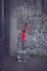 Industrial_Annevi 020