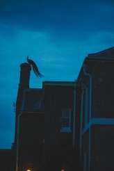 ThespianWedding-NabeelsCamera-762