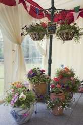 Tom and Jenny_Green Olive Wedding 122