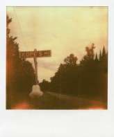 amber_mahoney_live_it_out_photo_lifestyle_documentary_alternative_wedding_photography_polaroid_handmade_diy_backyard_polaroid001