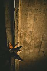 averynonwedding-blushphotography-whittandcolby-13