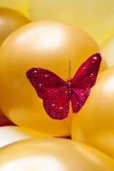 0144_wrestling_wedding_alistair_veryard