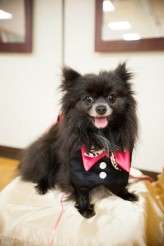 0147BarbieHull_Wallenborn