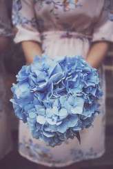 293- Cockburn -_MG_9849