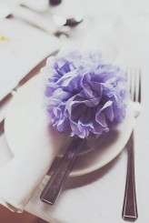 384- Cockburn -_MG_9965 1