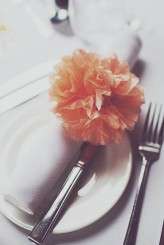 385- Cockburn -_MG_9967 1