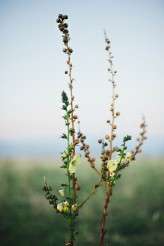 Blush-photography-let-them-eat-cake-90