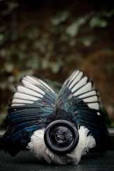 Eclectic vintage_Jennifer Peel Photography-10