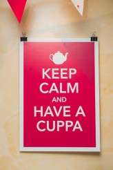 KatieAdamFeature-132i