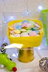 Vintage Circus_Dirty Fabulous (89)