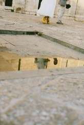 Yellow_dots_wedding_CinziaBruschini217