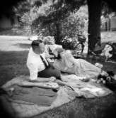 woodnote-sweden-holga-2