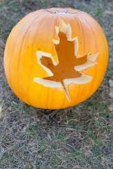 destination-retro-lesbian-wedding-alexa-clarke-kent-photography-5581-5176