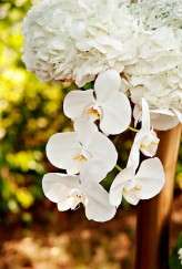 Burton-esque_Plum_Wedding_Photography Smiths017