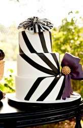 Burton-esque_Plum_Wedding_Photography Smiths030