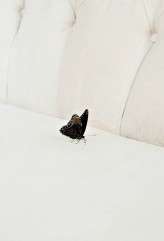 Burton-esque_Plum_Wedding_Photography Smiths054