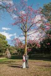 CMYK_Agustin Sanchez 50