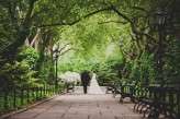 CentralParkPizzaWedding_JuneCochran_263