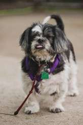 CentralParkPizzaWedding_JuneCochran__566