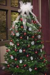 Marian and Michael Wedding