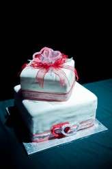 RocknRoll-Circus-Wedding_Kat-Forsyth-280