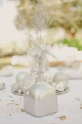 Stacy Paul Photography_ Nic and Katie2