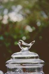 Stacy Paul Photography_ Nic and Katie20