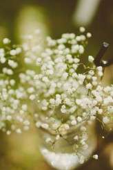 Stacy Paul Photography_ Nic and Katie31