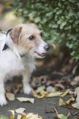 flea market tattooed wedding19