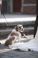 flea market tattooed wedding31