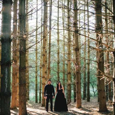 gothic winter engagement28