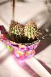 haywood jones photography alternative wedding 59