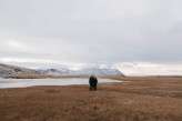 iceland-elopement-fotograf-holienmo-127