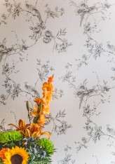 noel deasington_taxidermy-15