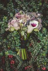 noel deasington_taxidermy-172