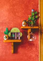 noel deasington_taxidermy-2