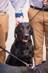 Adam Lowe Photography_0305