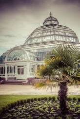 Sixties Sunshine_Raw Wedding Photography 010