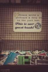 Sixties Sunshine_Raw Wedding Photography 393