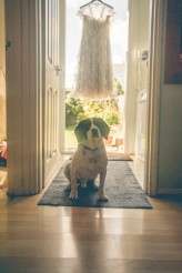 andreellisonphotographyrocknrollbride- (1 of 106)