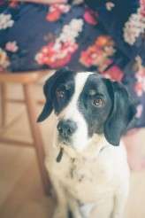 andreellisonphotographyrocknrollbride- (9 of 106)