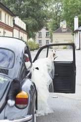 crazy dark blue butterflies_evagrinphotography (121)b