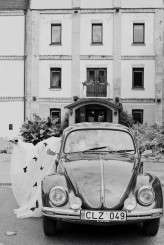 crazy dark blue butterflies_evagrinphotography (132)